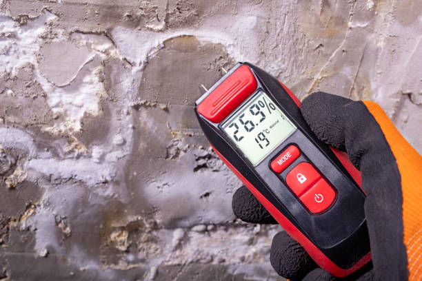 Best Certified Mold Removal  in Garden City, MO