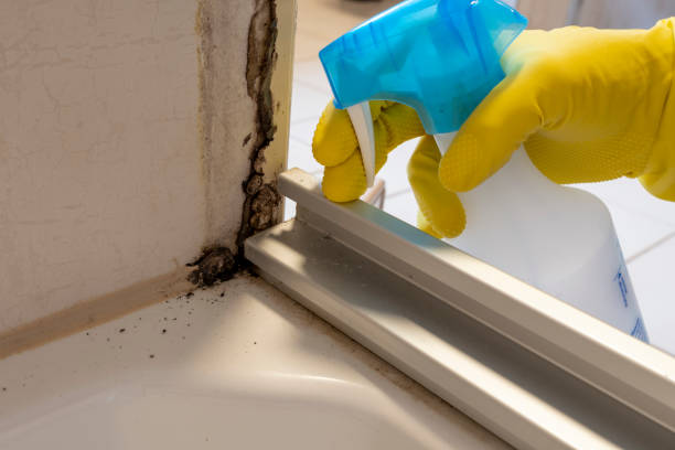 Best Mold Remediation  in Garden City, MO