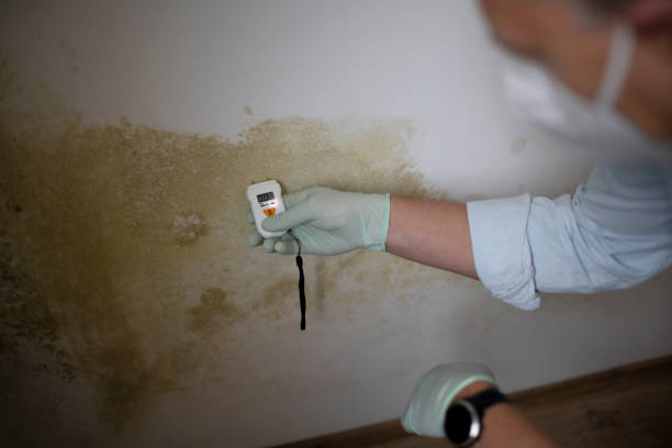 Water Damage Restoration in Garden City, MO