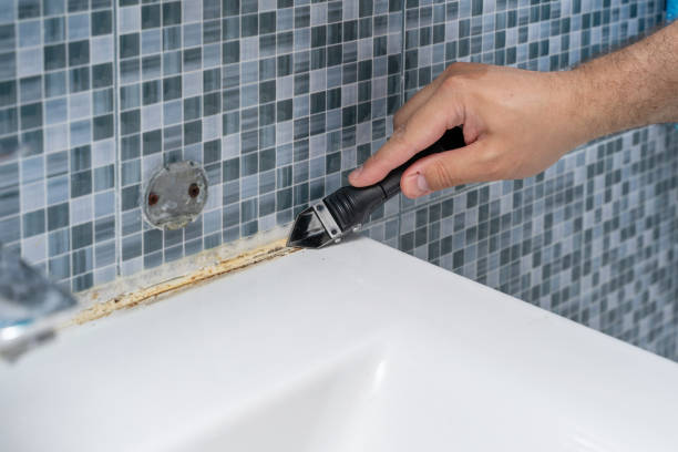 Best Best Mold Removal Companies  in Garden City, MO